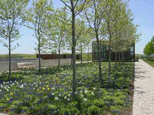 Suttonscapes, LLC Suttonscapes, LLC